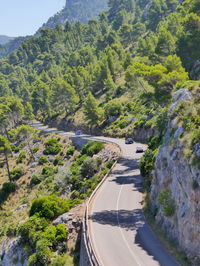 Road amidst trees and plants