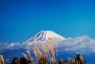 Scenic view of snowcapped mountain against blue sky