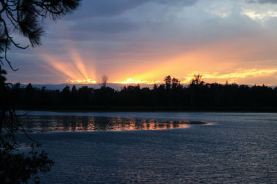 Silhouette of trees at sunset