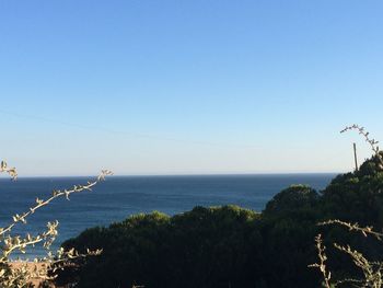 Scenic view of sea against clear blue sky