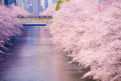 Bridge over river