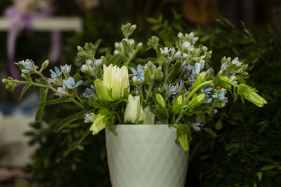 Charm and aesthetics of flowers and plants in the home interior