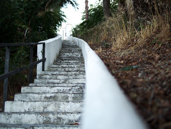 Low angle view of staircase amidst trees