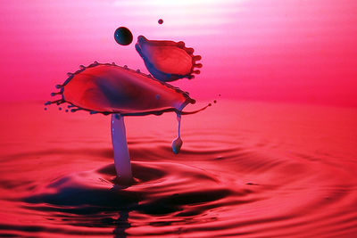 Close-up of red wall at sunset