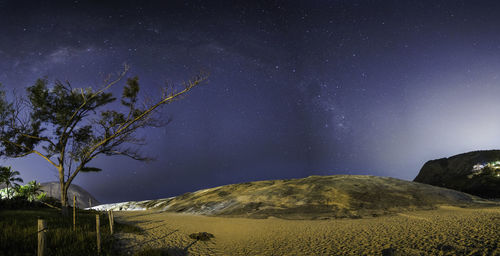 Scenic view of tree against sky at night