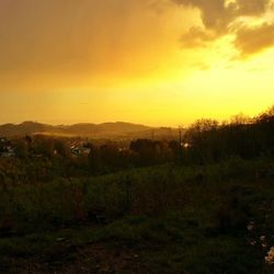 Scenic view of landscape at sunset