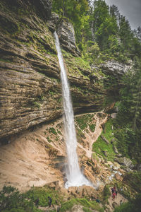 Scenic view of waterfall in forest