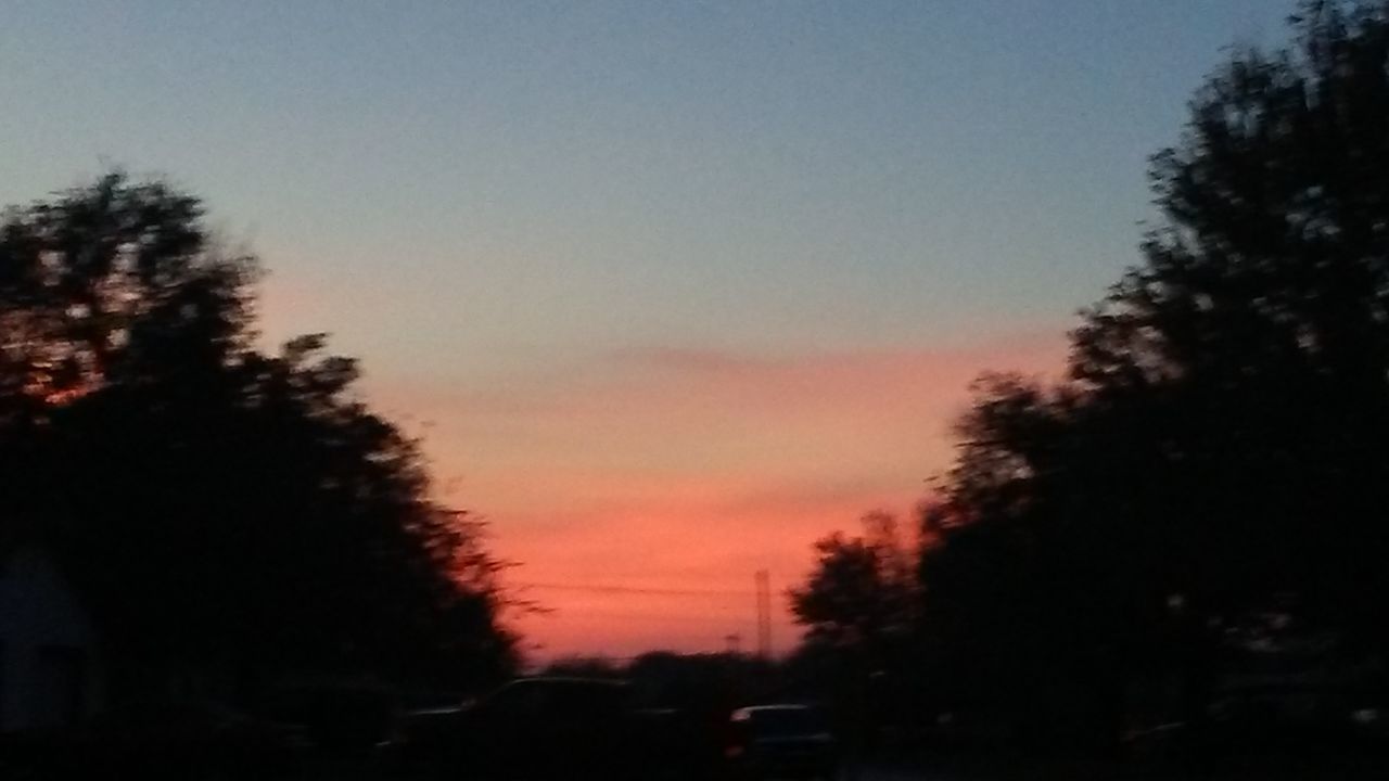 SILHOUETTE OF TREES AGAINST SKY AT SUNSET