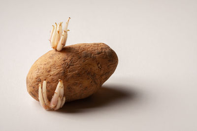 Close-up of apple against white background