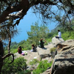 Group of people on rock against trees in forest