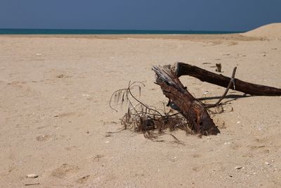 Close-up of sand at beach against sky