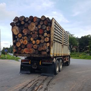 Stack of logs by road against sky