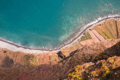 Aerial view of beach