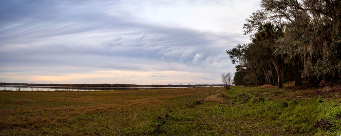 Wetland and marsh at the myakka river state park in sarasota, florida, usa