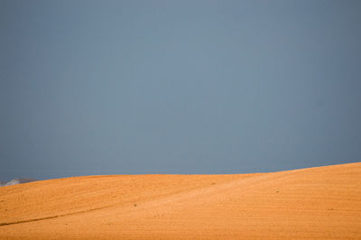 Scenic view of desert against clear sky