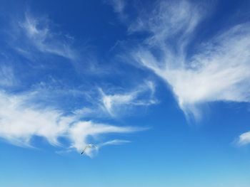 Low angle view of birds flying against blue sky