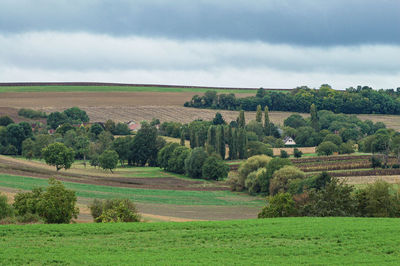 Scenic view of agricultural field against sky