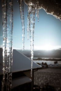 Close-up of water drops on spider web