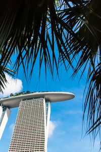 Low angle view of palm trees against blue sky