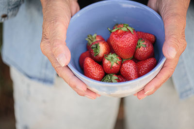 Hands of elderly woman holding a bowl of ripe strawberries