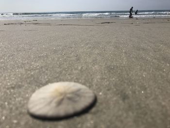 Surface level of sand on beach against sky