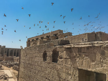 Low angle view of birds flying against sky