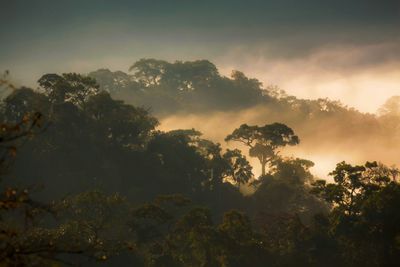 Scenic view of landscape against cloudy sky