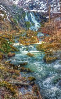 River flowing through forest