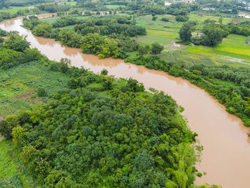 High angle view of river amidst trees on field