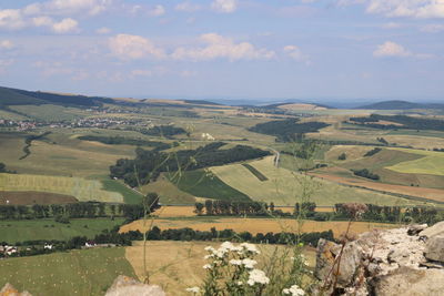 Scenic view of agricultural field against sky