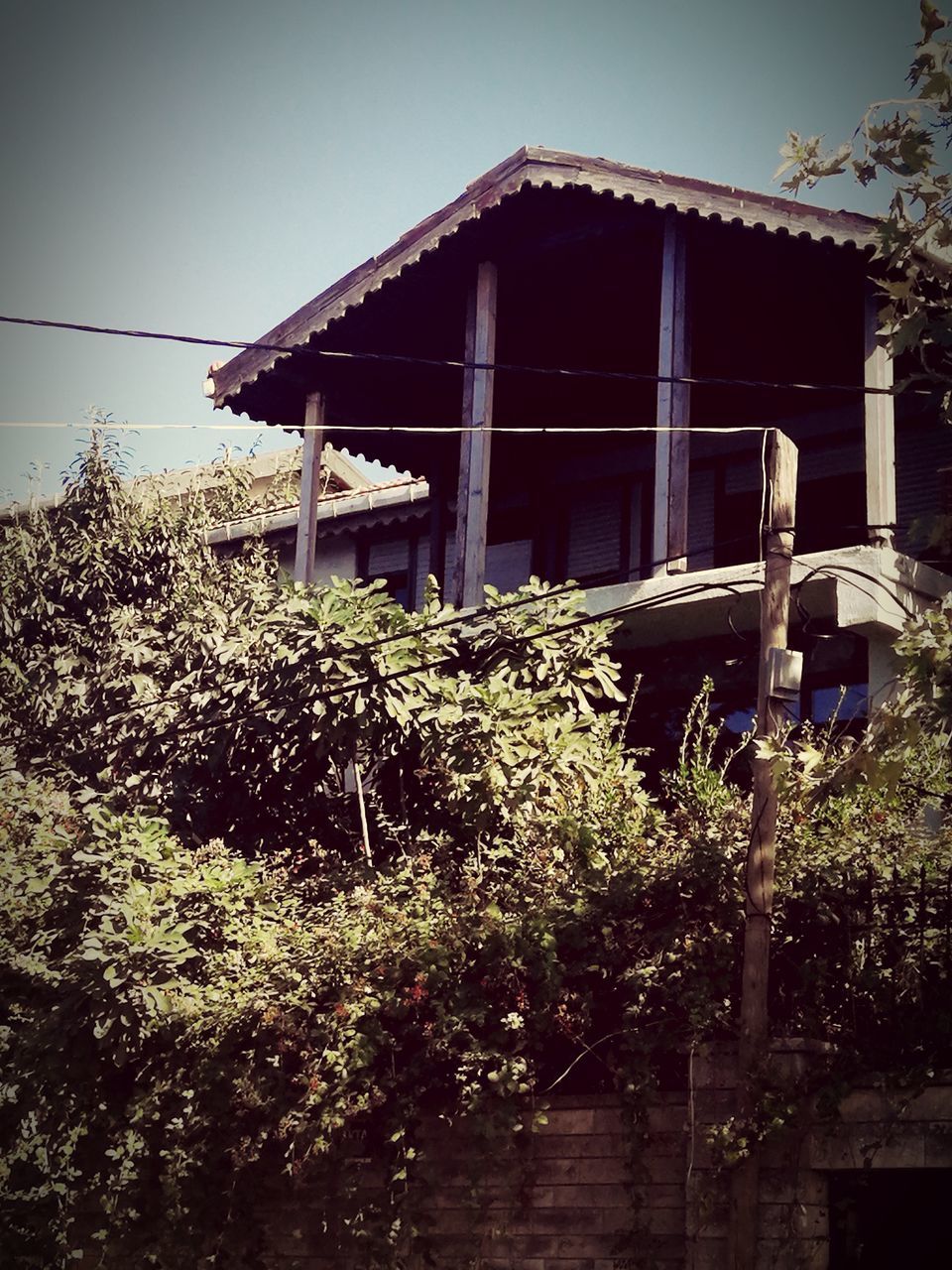 built structure, plant, architecture, no people, outdoors, day, growth, nature, building exterior, tree, clear sky, sky