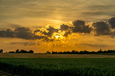 Scenic view of field against sky during sunset