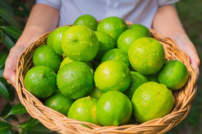 Close-up of fresh fruits in basket