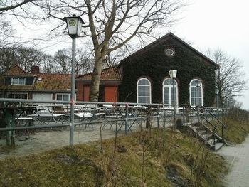 Bare trees against buildings