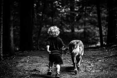 Rear view of boy walking with dog in forest