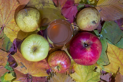 High angle view of apples