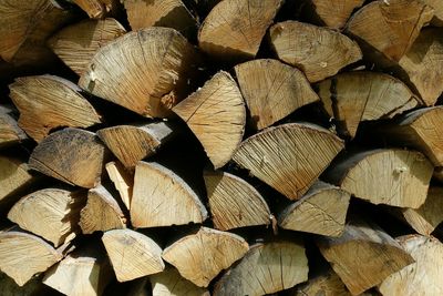 Heap of logs