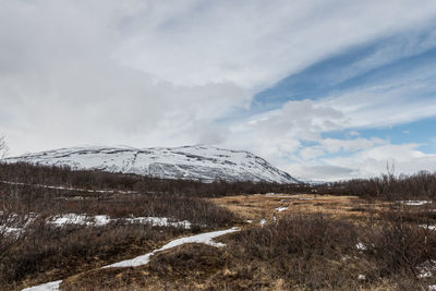 Scenic view of landscape against sky during winter