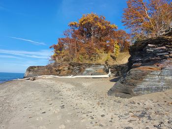 Scenic view shale and driftwood