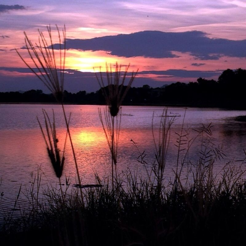 sunset, water, tranquil scene, tranquility, sky, reflection, silhouette, scenics, lake, beauty in nature, orange color, nature, sun, idyllic, plant, cloud - sky, cloud, lakeshore, majestic, grass