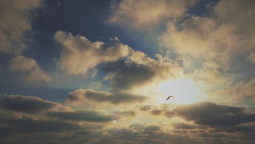 Low angle view of bird flying in sky