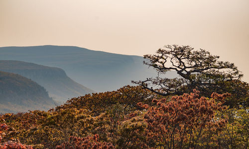 Scenic view of mountains against clear sky