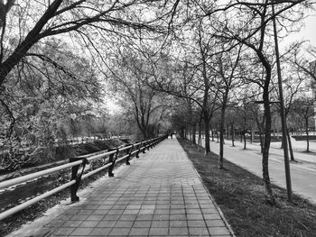 Footpath amidst bare trees in park