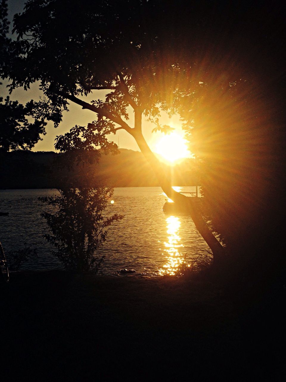 sun, sunset, water, reflection, tranquil scene, scenics, sunlight, beauty in nature, tranquility, silhouette, sea, sunbeam, lens flare, nature, idyllic, sky, lake, orange color, tree, rippled