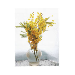 Close-up of yellow flower vase against white wall