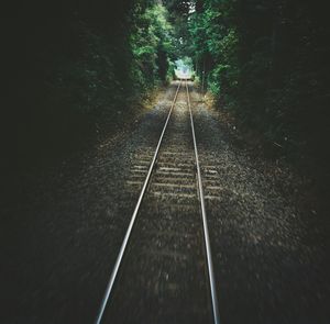 Railroad track along trees