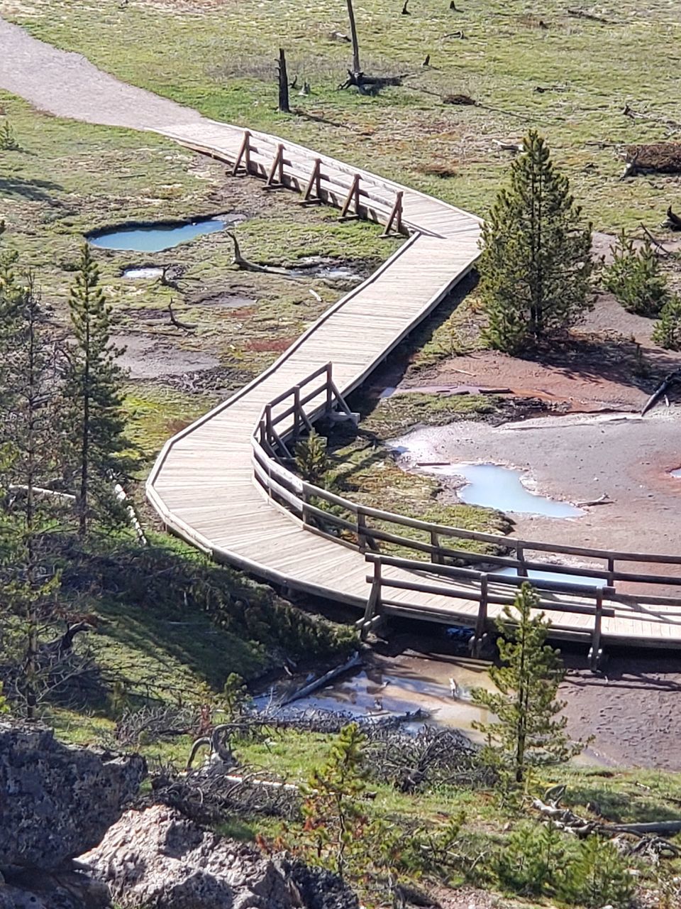 HIGH ANGLE VIEW OF STEPS BY TREES