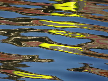 Reflection of trees in water