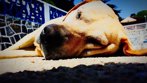 Close-up view of stone