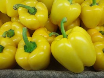 Close-up of yellow tomatoes